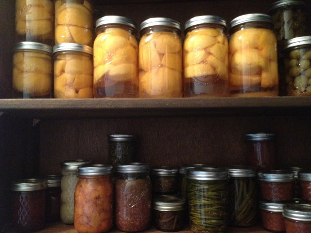 Top shelf: Peaches in light syrup, pickled green tomatoes. Bottom shelf: cranberry sauce, pears in syrup, peach-ginger pie filling, tomatillo salsa, pickled wild ramps, pickled garlic scapes, ginger-apple-pear butter.