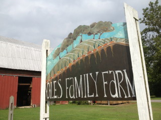 Here's where most of our produce comes from (besides what's in my garden) - The Promised Land CSA at the Oles Family Farm in Alden, NY.