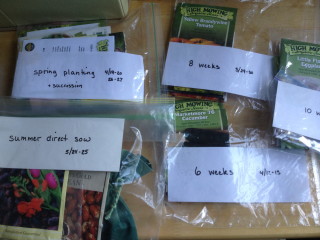 Seeds packets sorted into bags by planting date.