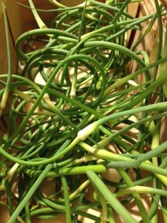 A basket of garlic scapes just snipped from my yard.