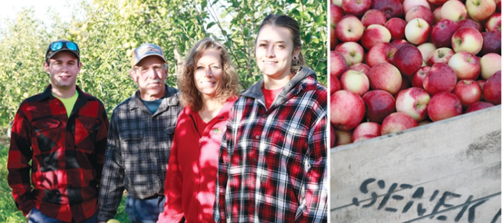 In the field: Senek Farms